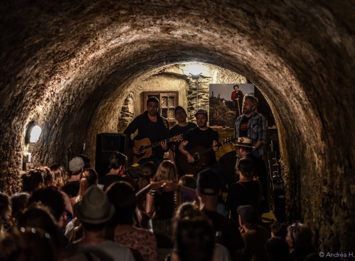 /Palp_festival-2018-(c)PalpFestival